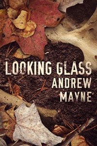Looking Glass Andrew Mayne
